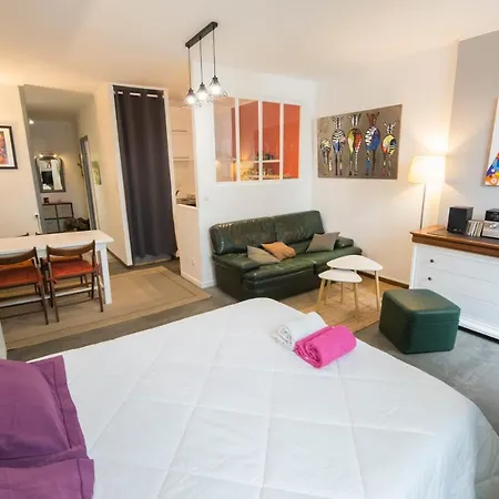 Marcadieu Apartment Tarbes